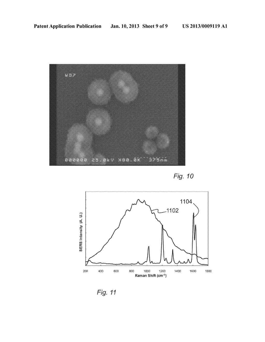 WAVELENGTH SELECTIVE SERS NANOTAGS - diagram, schematic, and image 10