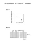 NITRIDE-BASED SEMICONDUCTOR DEVICE AND METHOD FOR FABRICATING THE SAME diagram and image