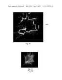 SPATIALLY REGISTERING USER PHOTOGRAPHS diagram and image