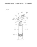 ELECTRONIC ENDOSCOPE FOR PROVIDING THREE-DIMENSIONAL IMAGE DATA diagram and image