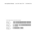 MODIFIED UBIQUITIN PROTEINS HAVING A SPECIFIC BINDING ACTIVITY FOR THE     EXTRADOMAIN B OF FIBRONECTIN diagram and image