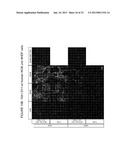 MODIFIED UBIQUITIN PROTEINS HAVING A SPECIFIC BINDING ACTIVITY FOR THE     EXTRADOMAIN B OF FIBRONECTIN diagram and image