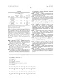 MODIFIED UBIQUITIN PROTEINS HAVING A SPECIFIC BINDING ACTIVITY FOR THE     EXTRADOMAIN B OF FIBRONECTIN diagram and image