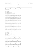 MODIFIED UBIQUITIN PROTEINS HAVING A SPECIFIC BINDING ACTIVITY FOR THE     EXTRADOMAIN B OF FIBRONECTIN diagram and image