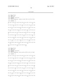 MODIFIED UBIQUITIN PROTEINS HAVING A SPECIFIC BINDING ACTIVITY FOR THE     EXTRADOMAIN B OF FIBRONECTIN diagram and image