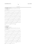 MODIFIED UBIQUITIN PROTEINS HAVING A SPECIFIC BINDING ACTIVITY FOR THE     EXTRADOMAIN B OF FIBRONECTIN diagram and image