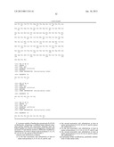 MODIFIED UBIQUITIN PROTEINS HAVING A SPECIFIC BINDING ACTIVITY FOR THE     EXTRADOMAIN B OF FIBRONECTIN diagram and image