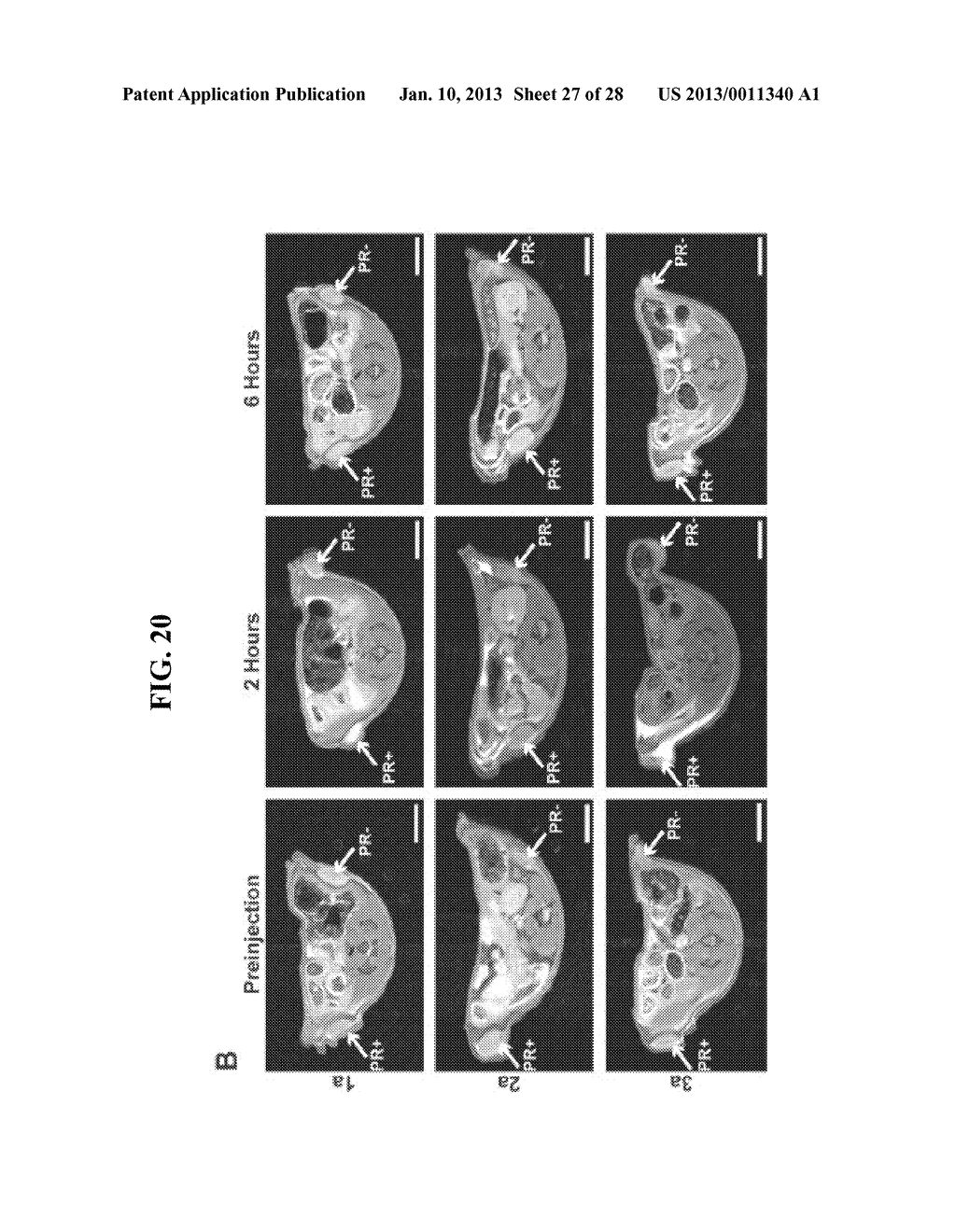COMPOSITIONS AND METHODS COMPRISING MAGNETIC RESONANCE CONTRAST AGENTS - diagram, schematic, and image 28