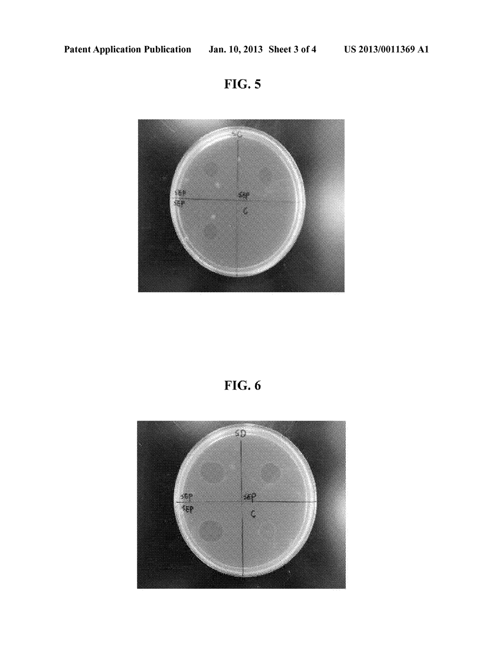 Method for Prevention and Treatment of Salmonella Infection - diagram, schematic, and image 04