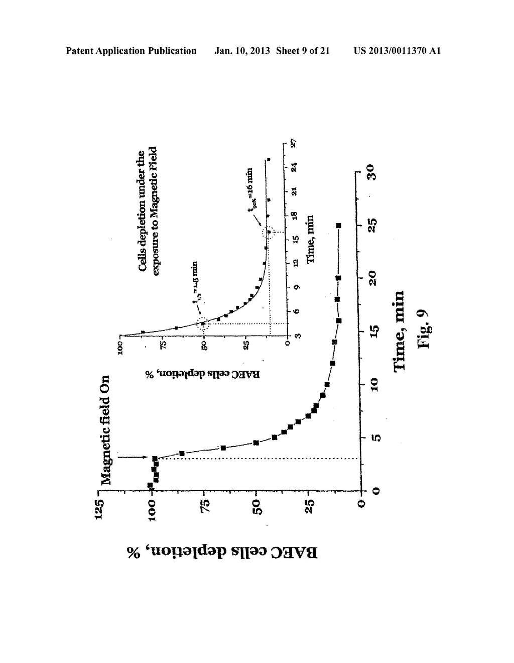 Uniform Field Magnetization and Targeting of Therapeutic Formulations - diagram, schematic, and image 10