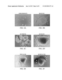 ESTABLISHMENT OF PATIENT- OR PERSON- SPECIFIC CARDIAC MYOCYTE CELL LINES     FROM HUMAN INDUCED PLURIPOTENT STEM CELLS (iPSCs) diagram and image