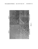 ESTABLISHMENT OF PATIENT- OR PERSON- SPECIFIC CARDIAC MYOCYTE CELL LINES     FROM HUMAN INDUCED PLURIPOTENT STEM CELLS (iPSCs) diagram and image