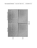 ESTABLISHMENT OF PATIENT- OR PERSON- SPECIFIC CARDIAC MYOCYTE CELL LINES     FROM HUMAN INDUCED PLURIPOTENT STEM CELLS (iPSCs) diagram and image