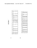 T CELL RECEPTORS SPECIFIC FOR IMMUNODOMINANT CTL EPITOPES OF HCV diagram and image