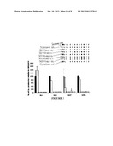 T CELL RECEPTORS SPECIFIC FOR IMMUNODOMINANT CTL EPITOPES OF HCV diagram and image