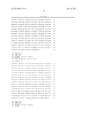 T CELL RECEPTORS SPECIFIC FOR IMMUNODOMINANT CTL EPITOPES OF HCV diagram and image