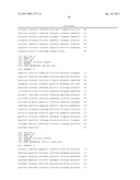 T CELL RECEPTORS SPECIFIC FOR IMMUNODOMINANT CTL EPITOPES OF HCV diagram and image