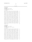 T CELL RECEPTORS SPECIFIC FOR IMMUNODOMINANT CTL EPITOPES OF HCV diagram and image