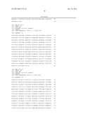 T CELL RECEPTORS SPECIFIC FOR IMMUNODOMINANT CTL EPITOPES OF HCV diagram and image