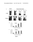 Use of Cytidine Deaminase-Related Agents to Promote Demethylation and Cell     Reprogramming diagram and image