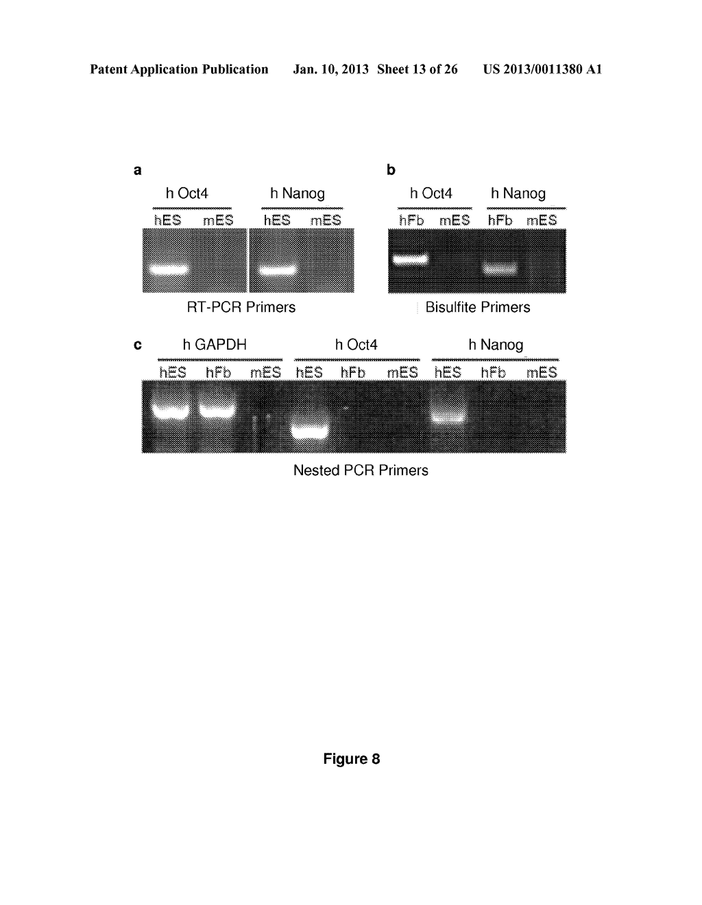 Use of Cytidine Deaminase-Related Agents to Promote Demethylation and Cell     Reprogramming - diagram, schematic, and image 14