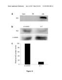 Use of Cytidine Deaminase-Related Agents to Promote Demethylation and Cell     Reprogramming diagram and image