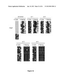 Use of Cytidine Deaminase-Related Agents to Promote Demethylation and Cell     Reprogramming diagram and image