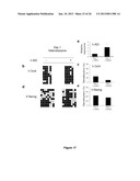 Use of Cytidine Deaminase-Related Agents to Promote Demethylation and Cell     Reprogramming diagram and image