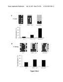 Use of Cytidine Deaminase-Related Agents to Promote Demethylation and Cell     Reprogramming diagram and image