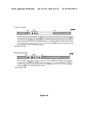 Use of Cytidine Deaminase-Related Agents to Promote Demethylation and Cell     Reprogramming diagram and image