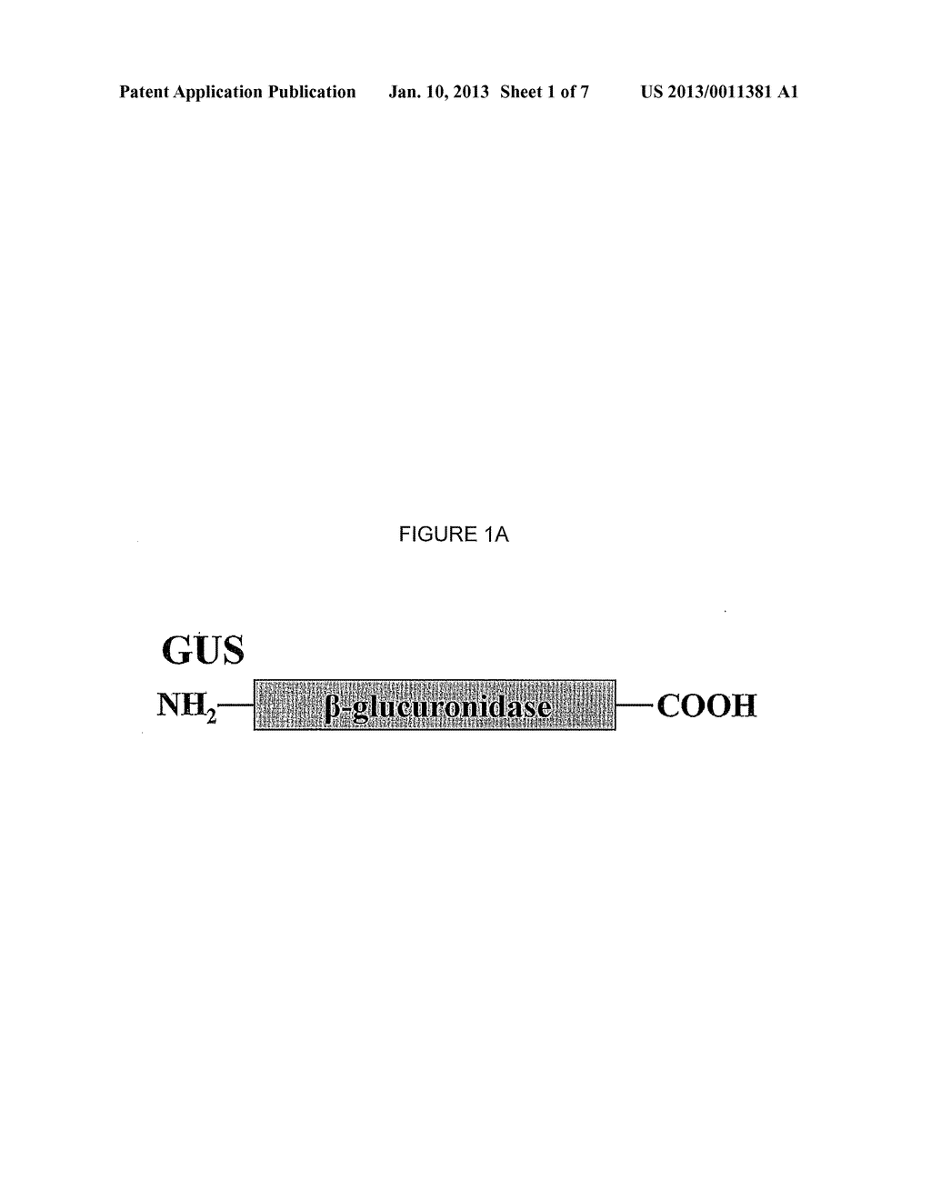 MODIFIED  ENZYME TREATMENT METHOD - diagram, schematic, and image 02