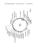 COMPOSITIONS AND METHODS FOR TREATING COAGULATION RELATED DISORDERS diagram and image