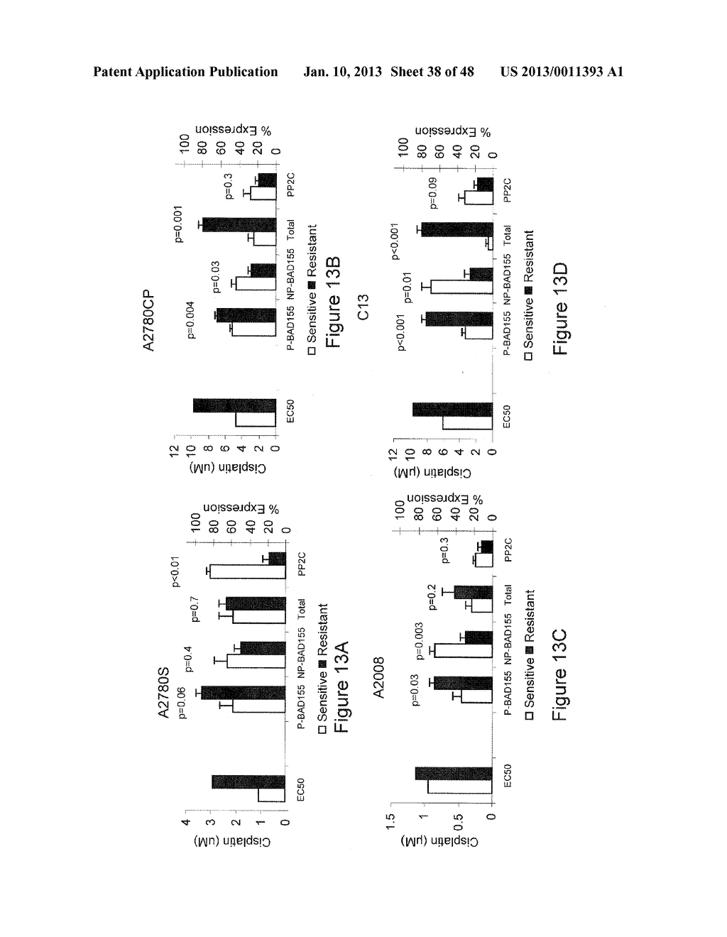 BAD PATHWAY GENE SIGNATURE - diagram, schematic, and image 39