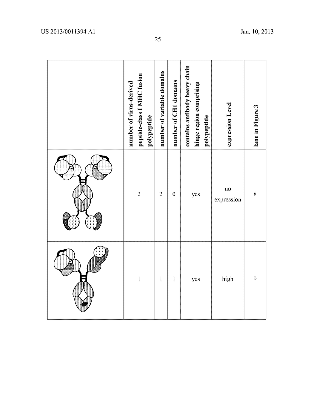 COMPLEXES COMPRISING MHC CLASS I FUSION POLYPEPTIDES AND ANTIGEN-SPECIFIC     ANTIBODIES AND METHODS OF USE - diagram, schematic, and image 46