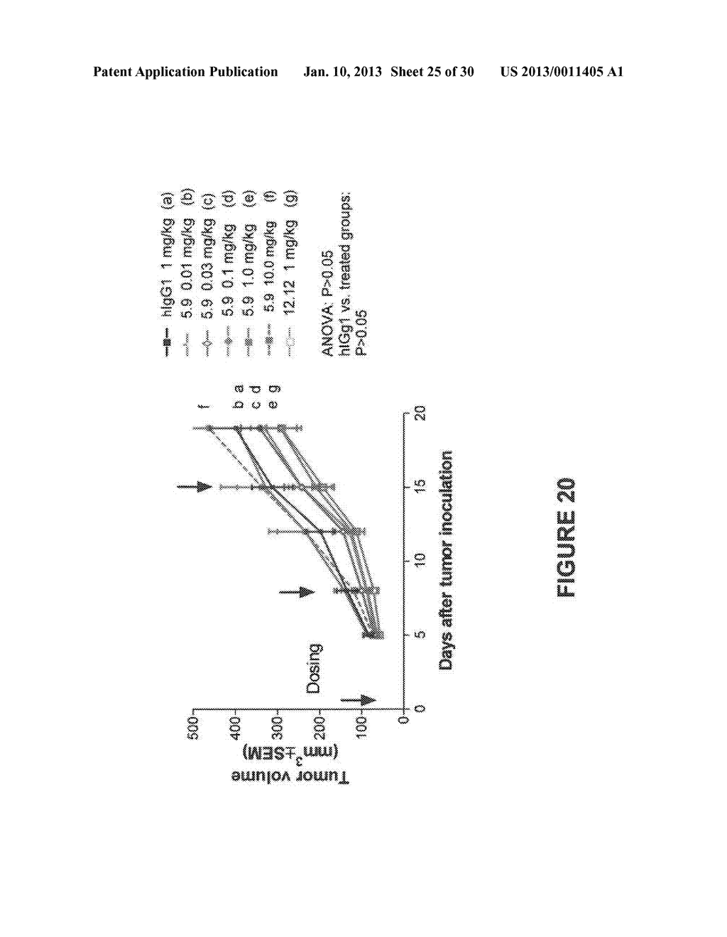 ANTAGONIST ANTI-CD40 MONOCLONAL ANTIBODIES AND METHODS FOR THEIR USE - diagram, schematic, and image 26