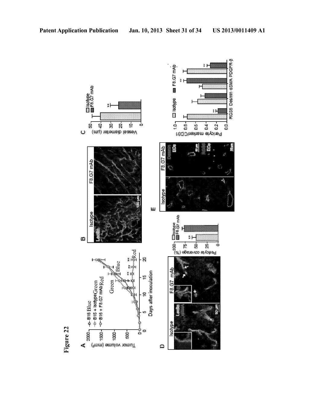 Compositions, Kits, and Methods for the Diagnosis, Prognosis, Monitoring,     Treatment and Modulation of Post-Transplant Lymphoproliferative Disorders     and Hypoxia Associated Angiogenesis Disorders Using Galectin-1 - diagram, schematic, and image 32