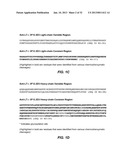 ANTIBODIES TO LYMPHOTOXIN-ALPHA diagram and image