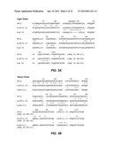 ANTIBODIES TO LYMPHOTOXIN-ALPHA diagram and image