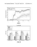 ANTIBODIES TO LYMPHOTOXIN-ALPHA diagram and image