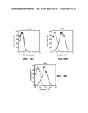 ANTIBODIES TO LYMPHOTOXIN-ALPHA diagram and image