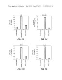 ANTIBODIES TO LYMPHOTOXIN-ALPHA diagram and image