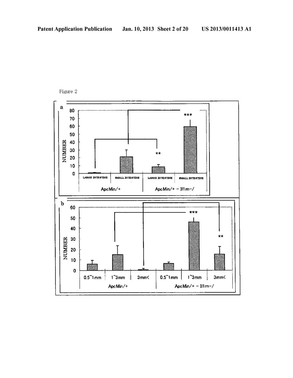 Method and Pharmaceutical Composition for Treatment of Intestinal Disease - diagram, schematic, and image 03