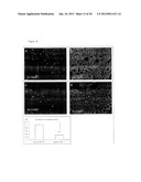 Method and Pharmaceutical Composition for Treatment of Intestinal Disease diagram and image