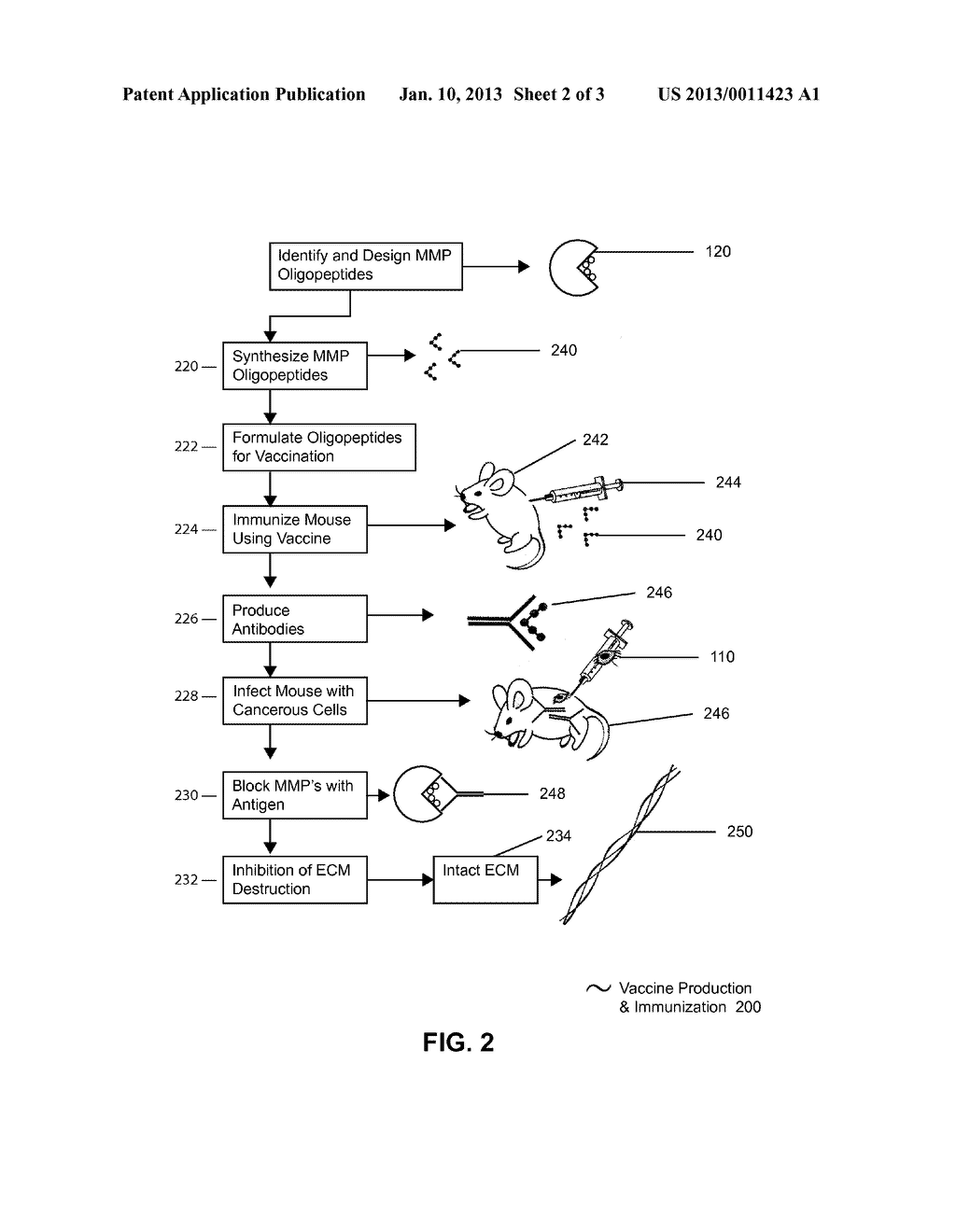 METALLOPROTEINASE OLIGOPEPTIDES AND THEIR THERAPEUTIC USE - diagram, schematic, and image 03