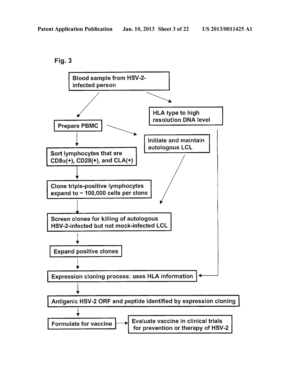 RAPID, EFFICIENT PURIFICATION OF HSV-SPECIFIC T-LYMPHOCYTES AND HSV     ANTIGENS IDENTIFIED VIA SAME - diagram, schematic, and image 04