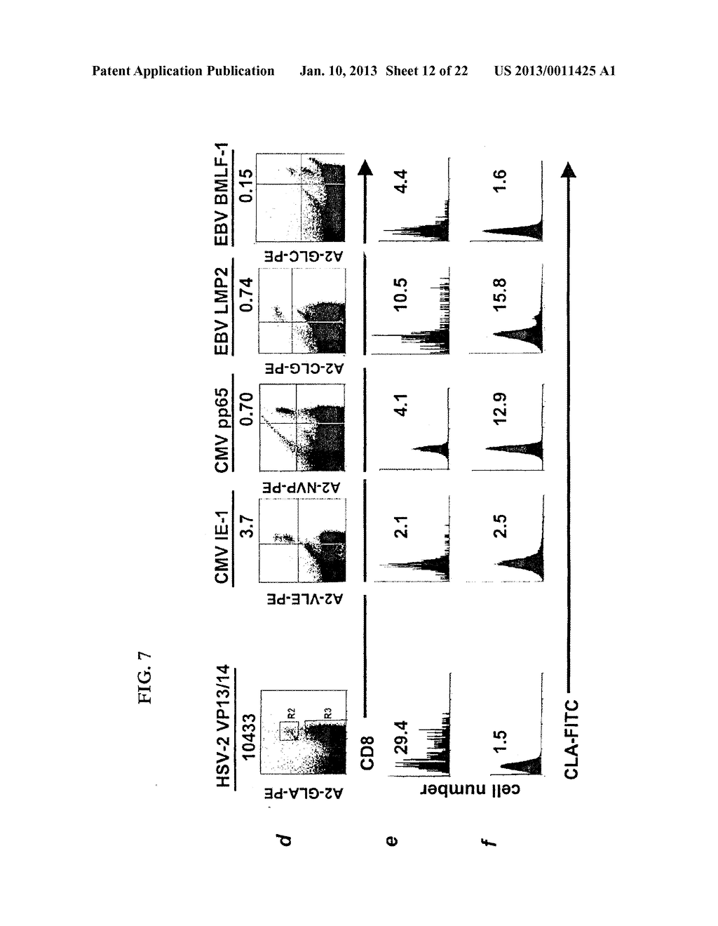 RAPID, EFFICIENT PURIFICATION OF HSV-SPECIFIC T-LYMPHOCYTES AND HSV     ANTIGENS IDENTIFIED VIA SAME - diagram, schematic, and image 13