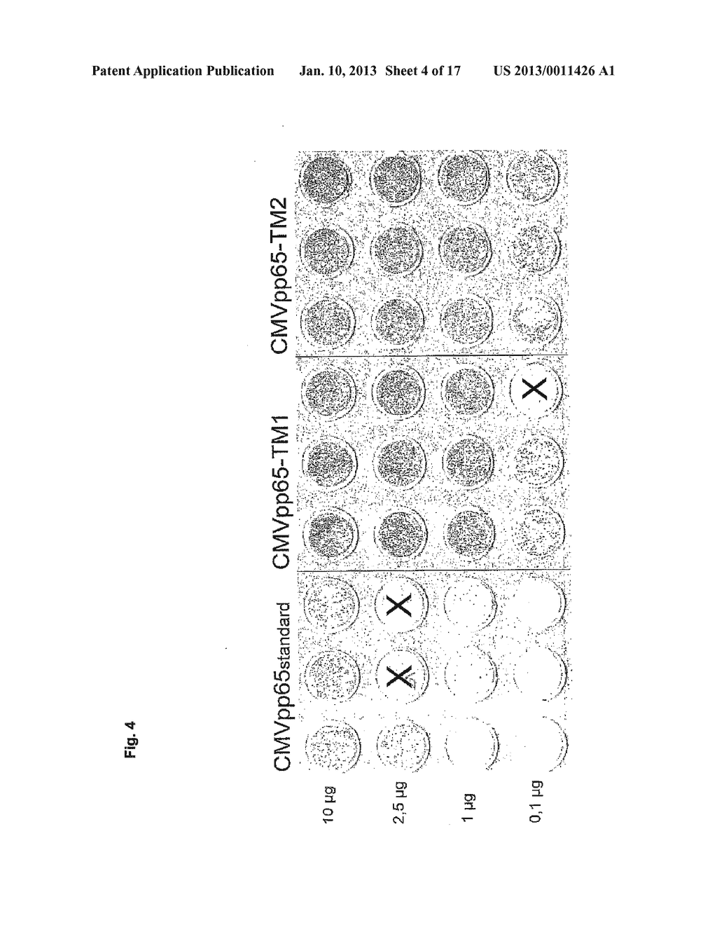 Recombinant Vaccines and Use Thereof - diagram, schematic, and image 05