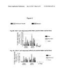 COMPOSITION FOR TREATING HBV INFECTION diagram and image