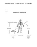 Means And Methods For Active Cellular Immunotherapy Of Cancer By Using     Tumor Cells Killed By High Hydrostatic Pressure and Dendritic Cells diagram and image