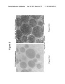 HUMAN RESPIRATORY SYNCYTIAL VIRUS VACCINE diagram and image